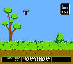 Read more about the article Vs. Duck Hunt