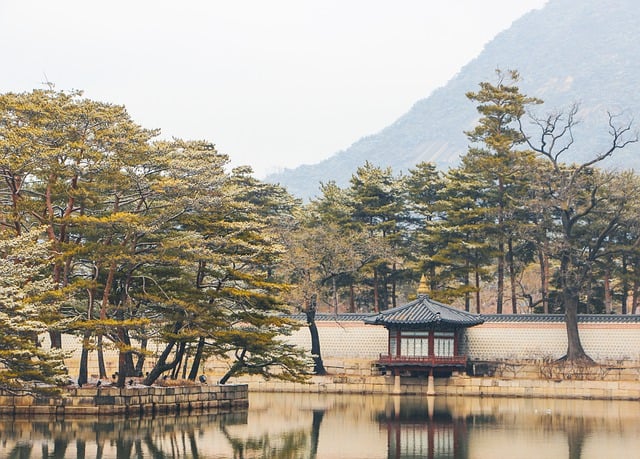 서울 여행 완벽 가이드: 추천 코스 & 숙소 정보